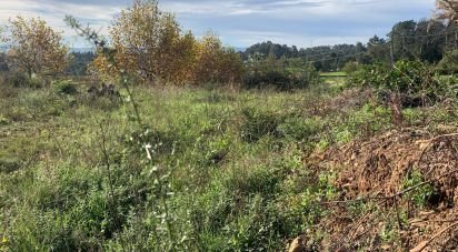 Land in Mujães of 904 m²