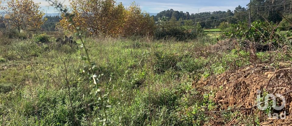 Terreno em Mujães de 904 m²