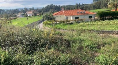 Land in Mujães of 711 m²