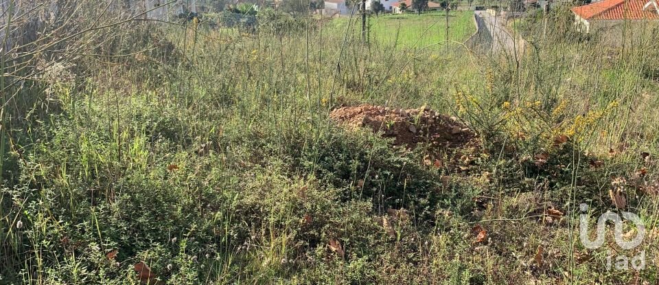 Land in Mujães of 711 m²