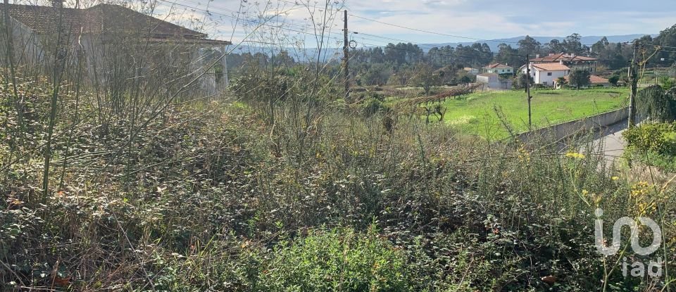 Land in Mujães of 711 m²