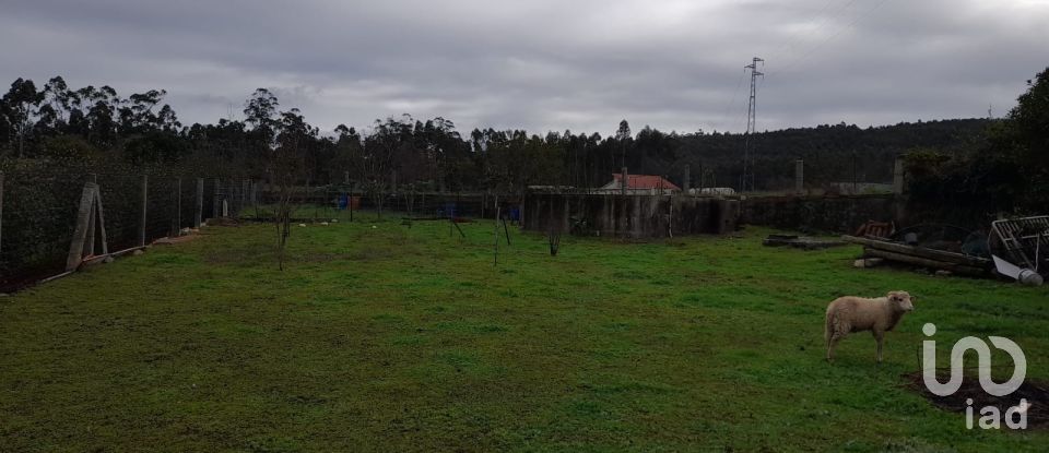 House T3 in Alheira E Igreja Nova of 386 m²