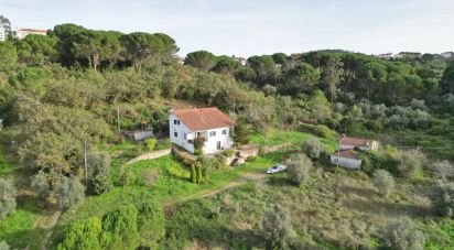 Ferme T5 à Santa Clara e Castelo Viegas de 310 m²