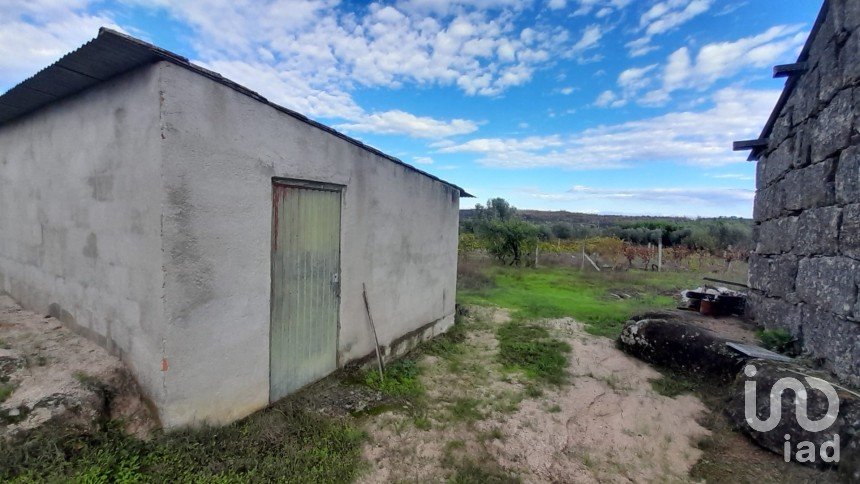 Terrain à Seixo da Beira de 14 947 m²