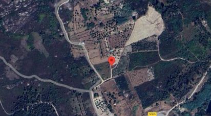 Terrain à Seixo da Beira de 14 947 m²