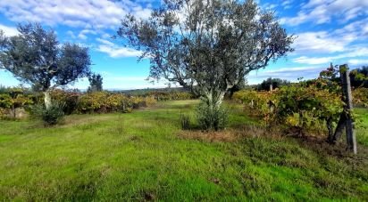 Terrain à Seixo da Beira de 14 947 m²