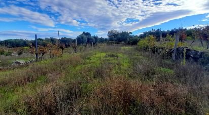 Terrain à Seixo da Beira de 14 947 m²