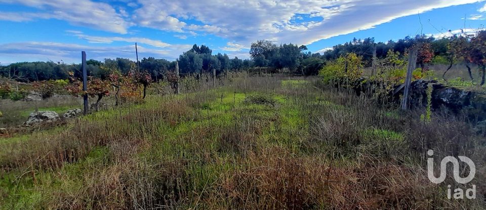 Terrain à Seixo da Beira de 14 947 m²