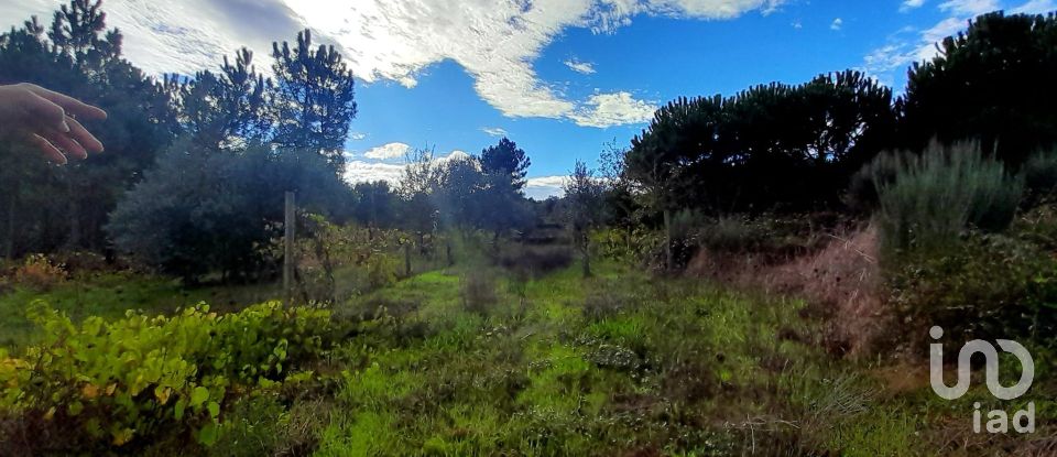 Terrain à Seixo da Beira de 14 947 m²