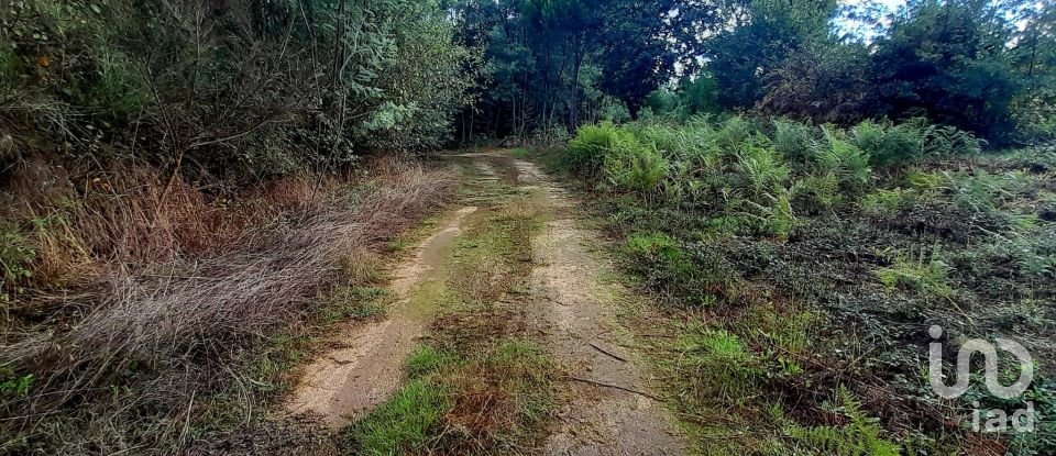 Terrain à Seixo da Beira de 14 947 m²