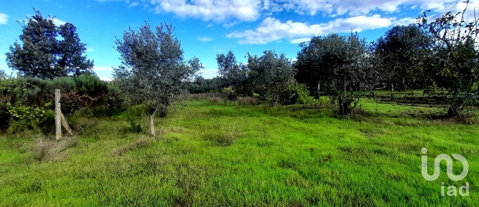 Terrain à Seixo da Beira de 14 947 m²