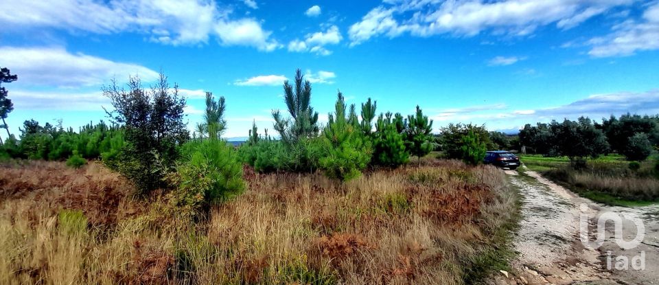 Terrain à Seixo da Beira de 14 947 m²