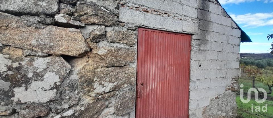 Terrain à Seixo da Beira de 14 947 m²