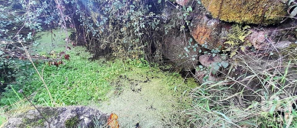 Terrain à Seixo da Beira de 14 947 m²