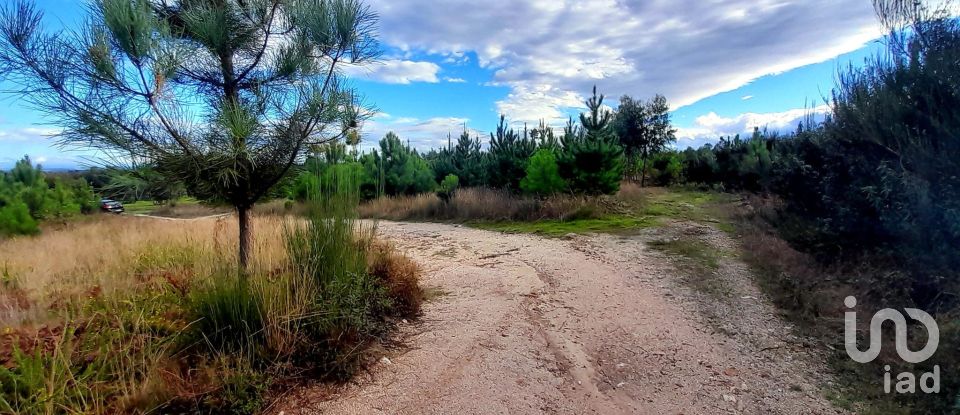 Terrain à Seixo da Beira de 14 947 m²