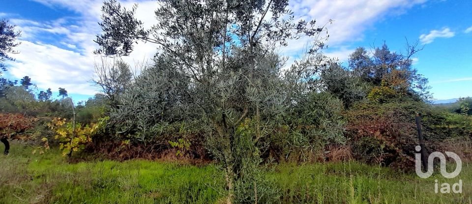 Terrain à Seixo da Beira de 14 947 m²