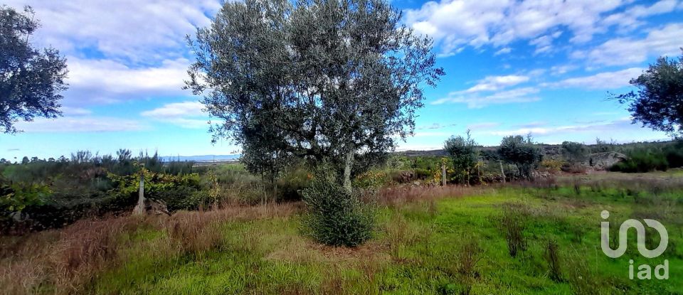 Terrain à Seixo da Beira de 14 947 m²