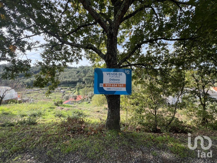 Terreno urbano em Arganil de 738 m²