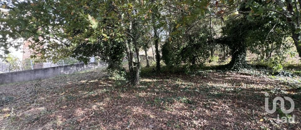 Terreno urbano em Arganil de 738 m²