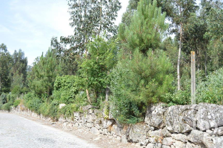 Terreno urbano em Termas de São Vicente de 83 204 m²