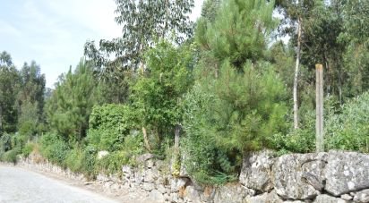 Terrain à bâtir à Termas de São Vicente de 83 204 m²