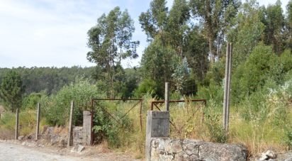 Terrain à bâtir à Termas de São Vicente de 83 204 m²