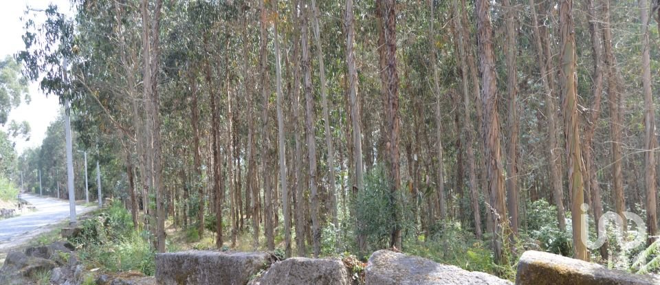 Terreno urbano em Termas de São Vicente de 83 204 m²