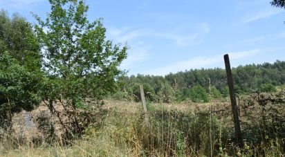 Terrain à bâtir à Termas de São Vicente de 83 204 m²