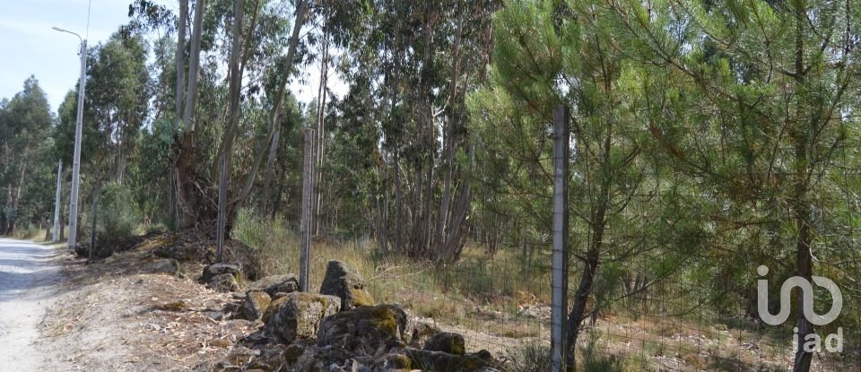 Terreno urbano em Termas de São Vicente de 83 204 m²