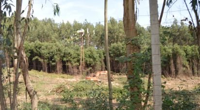 Terrain à bâtir à Termas de São Vicente de 83 204 m²