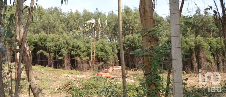 Terreno urbano em Termas de São Vicente de 83 204 m²