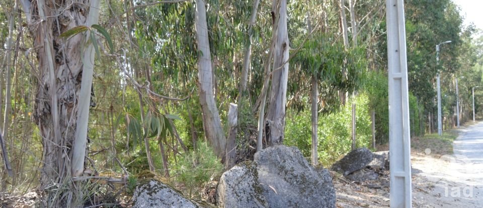 Terreno urbano em Termas de São Vicente de 83 204 m²