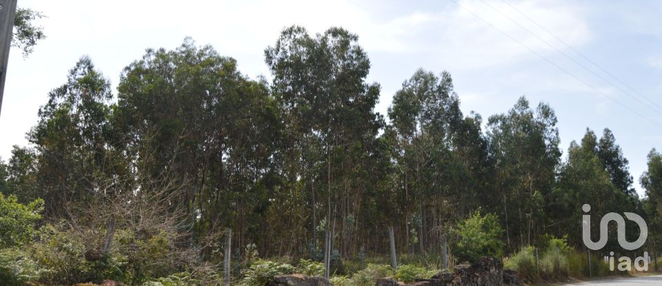 Terreno urbano em Termas de São Vicente de 83 204 m²