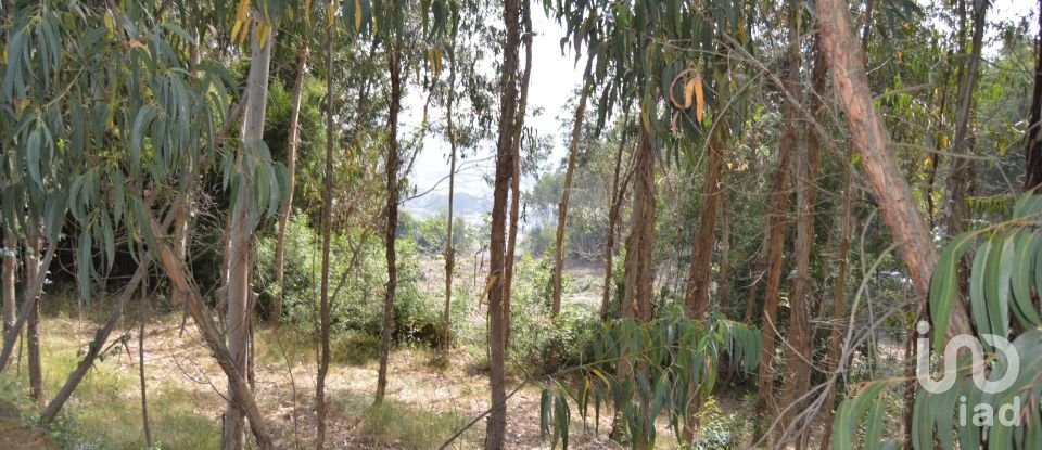 Terreno urbano em Termas de São Vicente de 83 204 m²