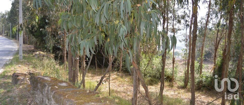 Terreno urbano em Termas de São Vicente de 83 204 m²