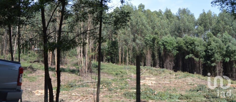 Terreno urbano em Termas de São Vicente de 83 204 m²