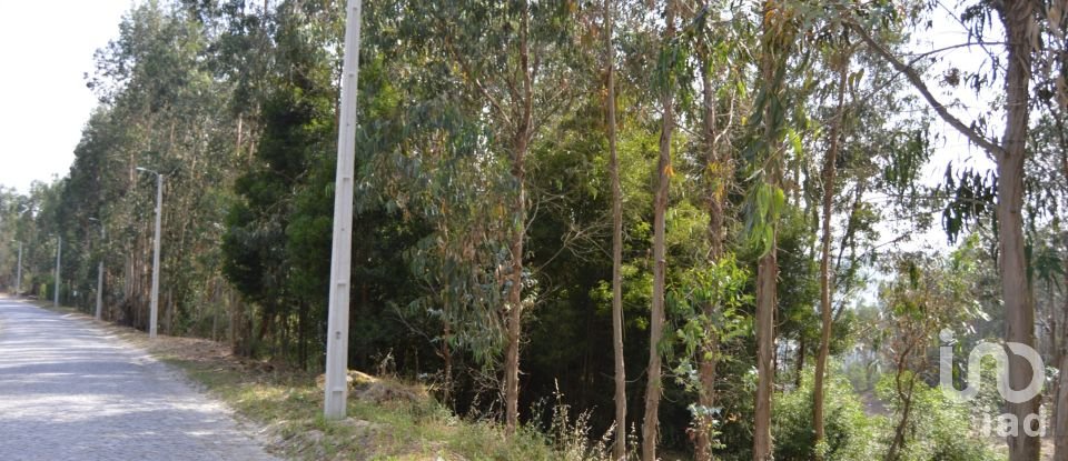 Terreno urbano em Termas de São Vicente de 83 204 m²