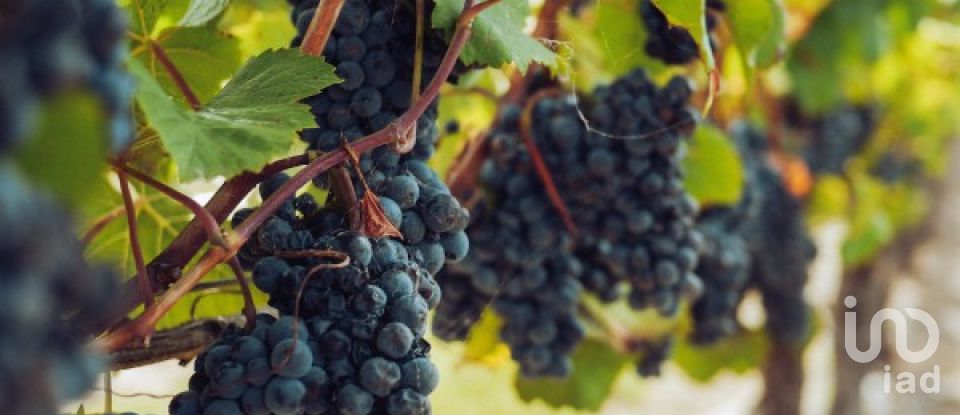 Terreno urbano em Carvoeira e Carmões de 3 960 m²