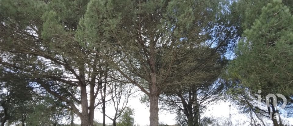 Terreno urbano em Carvoeira e Carmões de 3 960 m²