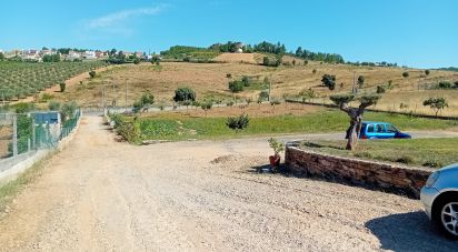 Maison T3 à Mogadouro, Valverde, Vale de Porco e Vilar de Rei de 324 m²