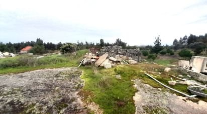 Terrain à Seixo da Beira de 16 000 m²