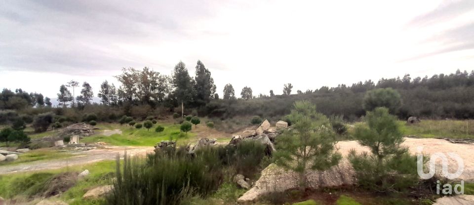 Terrain à Seixo da Beira de 16 000 m²