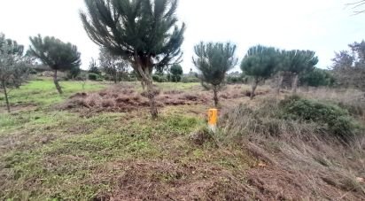 Terrain à Seixo da Beira de 16 000 m²