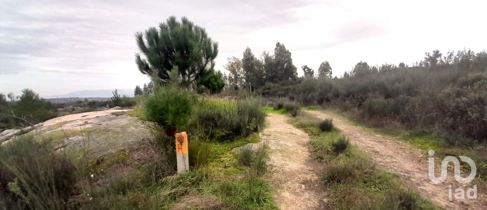 Terrain à Seixo da Beira de 16 000 m²