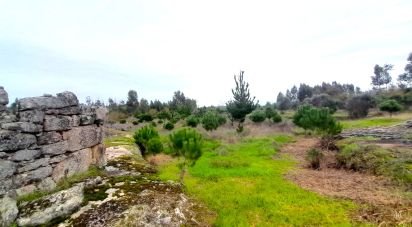 Terrain à Seixo da Beira de 16 000 m²