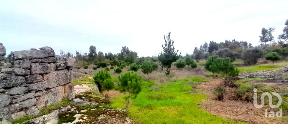 Terrain à Seixo da Beira de 16 000 m²