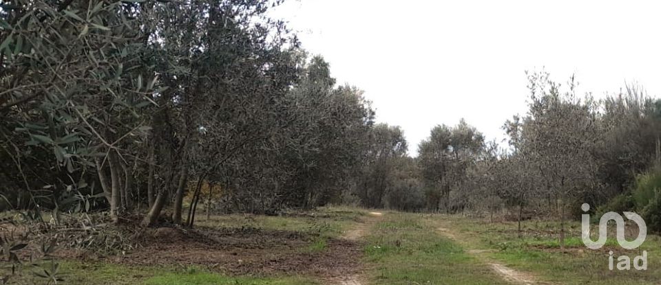 Terrain à Seixo da Beira de 16 000 m²