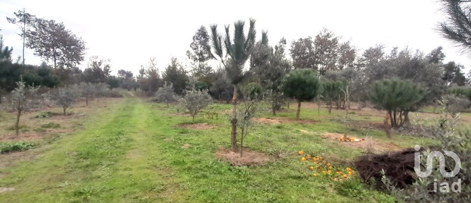 Terrain à Seixo da Beira de 16 000 m²