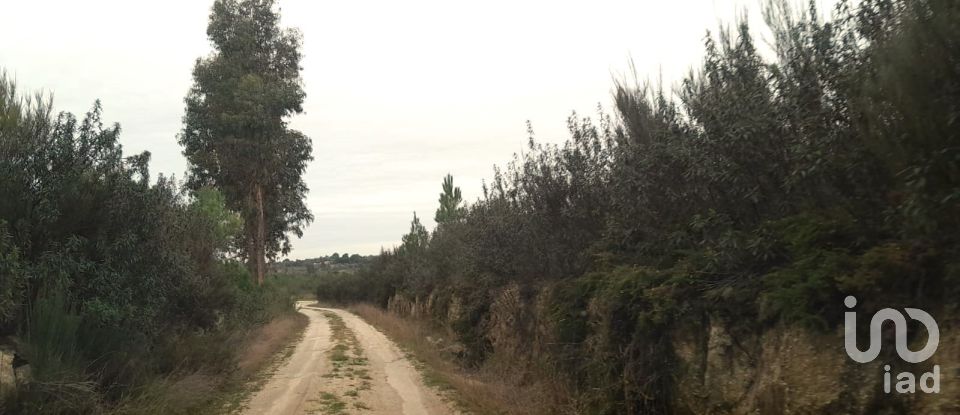 Terrain à Seixo da Beira de 16 000 m²