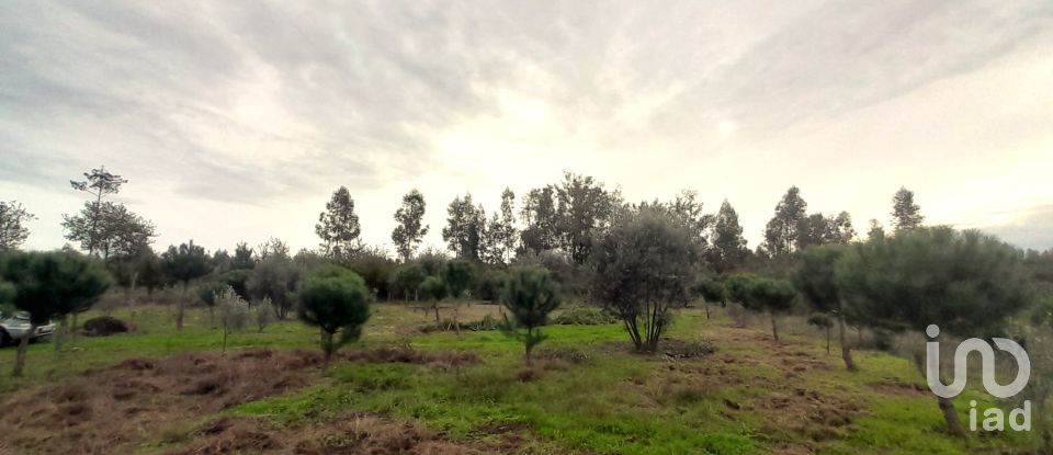 Terrain à Seixo da Beira de 16 000 m²